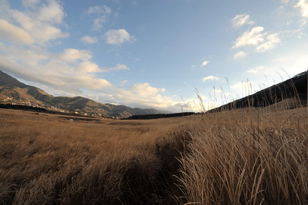 1221 550 10 DSC_2358.jpg